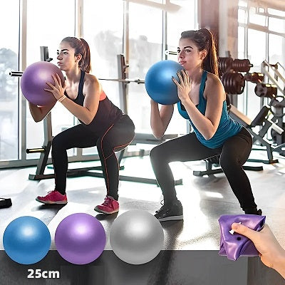 Ballon de Gym Swiss Ball à Exercices Fitness